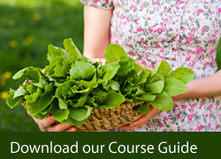 Download our Course Guide