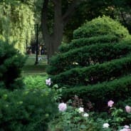 RHS Level 3 Principles of Garden Planning
