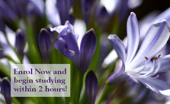 Online Courses