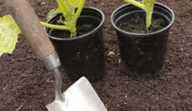 Understanding Your Garden Soil