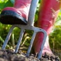Gardening Techniques Part 3