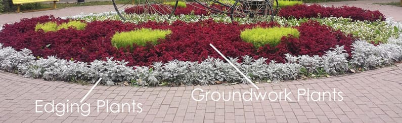 Edging-plants-3