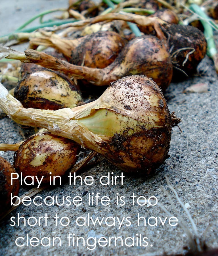 play-in-the-dirt...